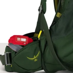 Osprey Ace 50 Green Canopy/Matcha Green Kids Fashion