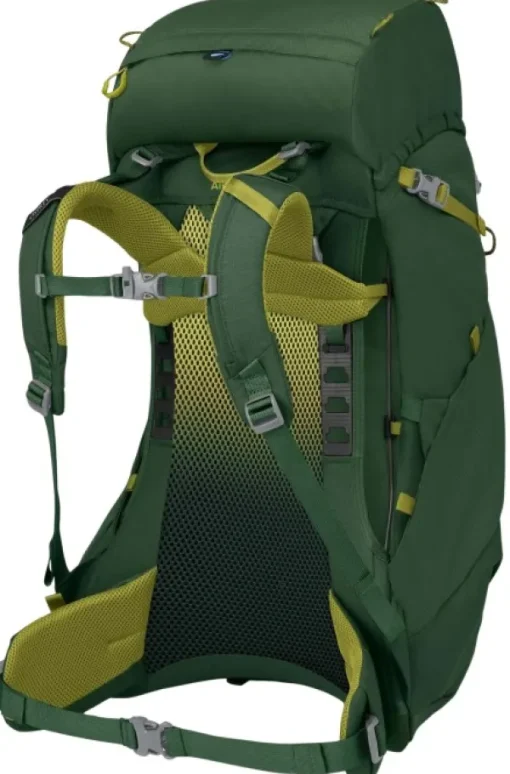 Osprey Ace 38 Green Canopy/Matcha Green Kids New