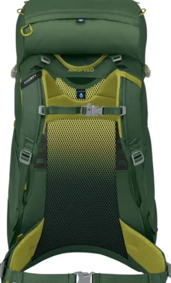 Osprey Ace 38 Green Canopy/Matcha Green Kids New
