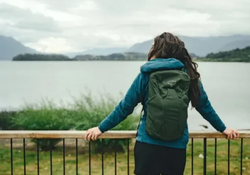 Osprey Farpoint Fairview Travel Daypack Gopher Green Unisex Clearance