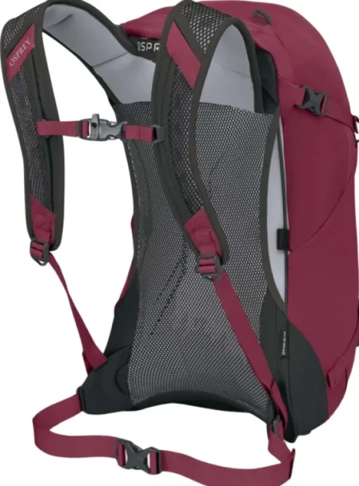 Osprey Hikelite 26 Chameleon/Black Best