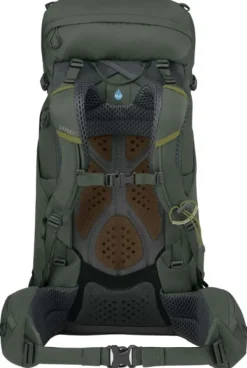 Osprey M's Kestrel 38 Bonsai Green Clearance