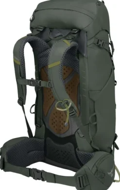 Osprey M's Kestrel 38 Bonsai Green Clearance