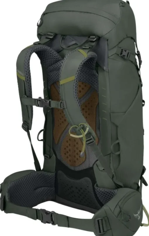 Osprey M's Kestrel 38 Bonsai Green Clearance