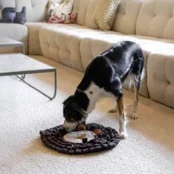 Hundleksak Snuffle Mat Lion 47 cm-Ozami Discount