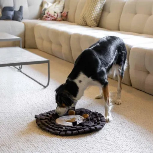 Hundleksak Snuffle Mat Lion 47 cm-Ozami Discount