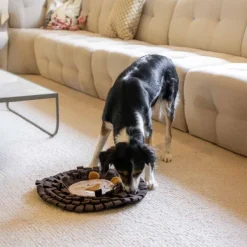 Hundleksak Snuffle Mat Lion 47 cm-Ozami Discount