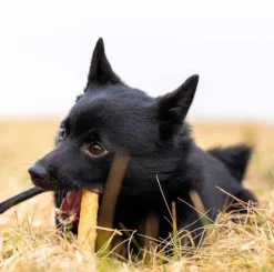 Ozami Premium Chewstick Elk 3 pcs 14cm Discount