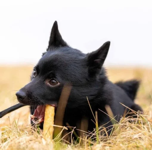 Ozami Premium Chewstick Elk 3 pcs 14cm Discount