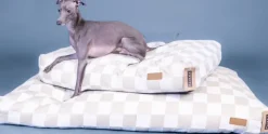PAIKKA Check Mattress Beige 85 x 55 cm New