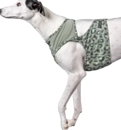 PAIKKA Cool Vest Green Leo L-XL Fashion