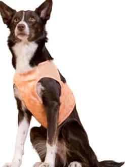 Cool Vest Peach S-M-PAIKKA New