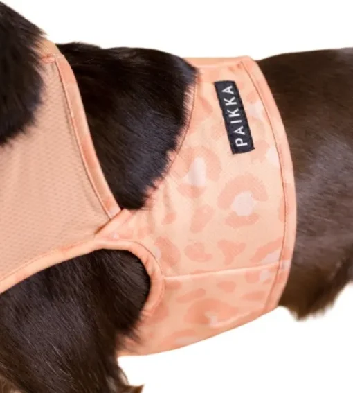 Cool Vest Peach S-M-PAIKKA New