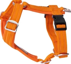Easy Harness valjaat, S-L, Orange-PAIKKA Best