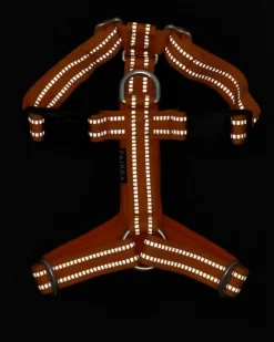 Easy Harness valjaat, S-L, Orange-PAIKKA Best