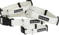 Glow Collar kaulapanta, 2,5x44-65 cm, White-PAIKKA Best