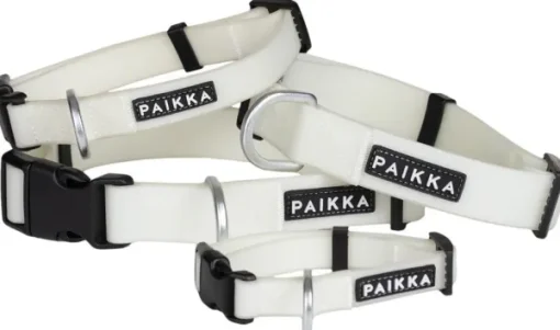 Glow Collar kaulapanta, 2,5x35-48 cm, White-PAIKKA New