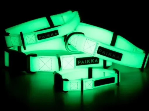 Glow Collar kaulapanta, 2,5x35-48 cm, White-PAIKKA New