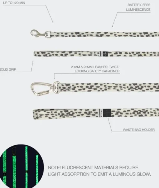 Glow Leash 2.0 talutushihna-PAIKKA Clearance