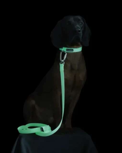 PAIKKA Glow Leash talutushihna, 2x180 cm, White Fashion
