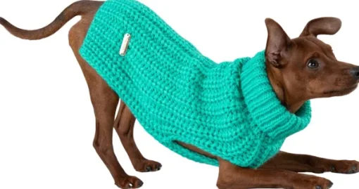 Knit Sweater koiran villapaita, 20-30 cm, Green-PAIKKA Outlet