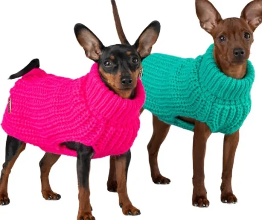 Knit Sweater koiran villapaita, 20-30 cm, Green-PAIKKA Outlet