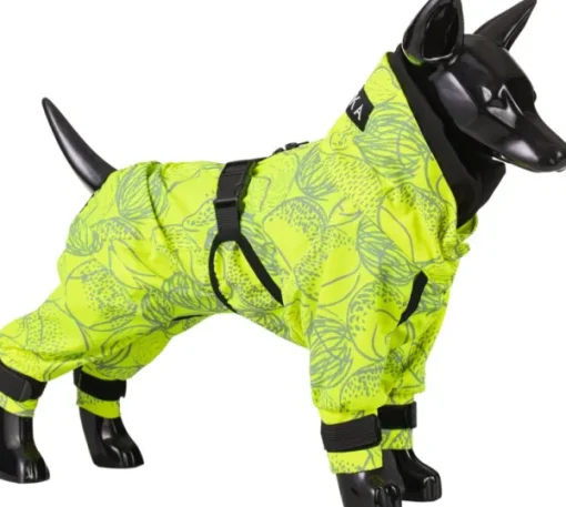 Rain Suit koiran sadehaalari, 55 - 60 cm, neonkeltainen-PAIKKA Fashion