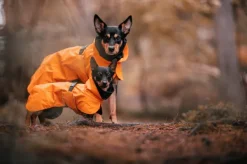 Recovery Raincoat sadetakki infrapunakangasvuorilla, 35-50 cm, oranssi-PAIKKA Clearance