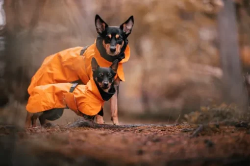 Recovery Raincoat sadetakki infrapunakangasvuorilla, 35-50 cm, oranssi-PAIKKA Clearance