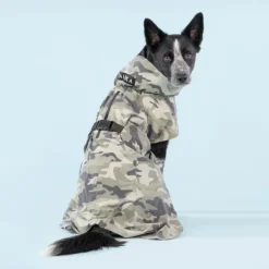 Recovery Raincoat koiran sadetakki, 35-50 cm, Camo-PAIKKA Fashion