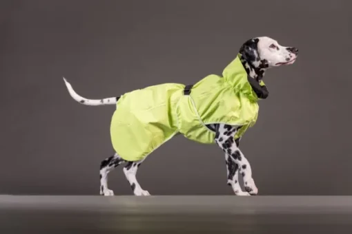 PAIKKA Reflective Shell Raincoat Matcha 30 cm Sale