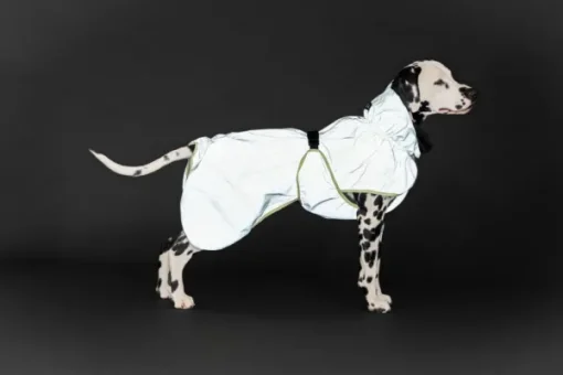 PAIKKA Reflective Shell Raincoat Matcha 30 cm Sale