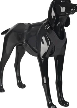 Visibility Harness koiran valjaat, M-L, Dark-PAIKKA Sale