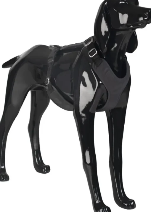 Visibility Harness koiran valjaat, M-L, Dark-PAIKKA Sale