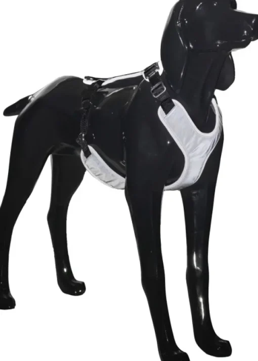 Visibility Harness koiran valjaat, M-L, Dark-PAIKKA Sale
