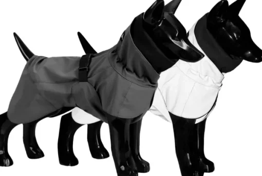 PAIKKA Visibility Raincoat koiran sadetakki, 30 cm, harmaa Discount