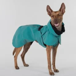 PAIKKA Visibility Raincoat koiran sadetakki, 55 - 60 cm, petrooli Clearance
