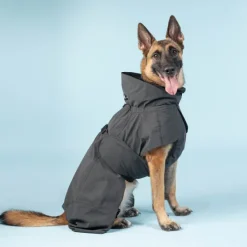 PAIKKA Visibility Raincoat koiran sadetakki, 30 cm, harmaa Discount