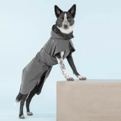 PAIKKA Visibility Raincoat koiran sadetakki, 30 cm, harmaa Discount