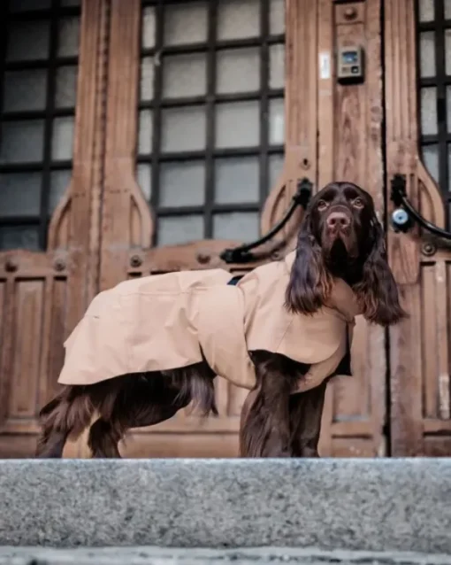 Visibility Raincoat Lite Taupe 55-60 cm-PAIKKA Outlet