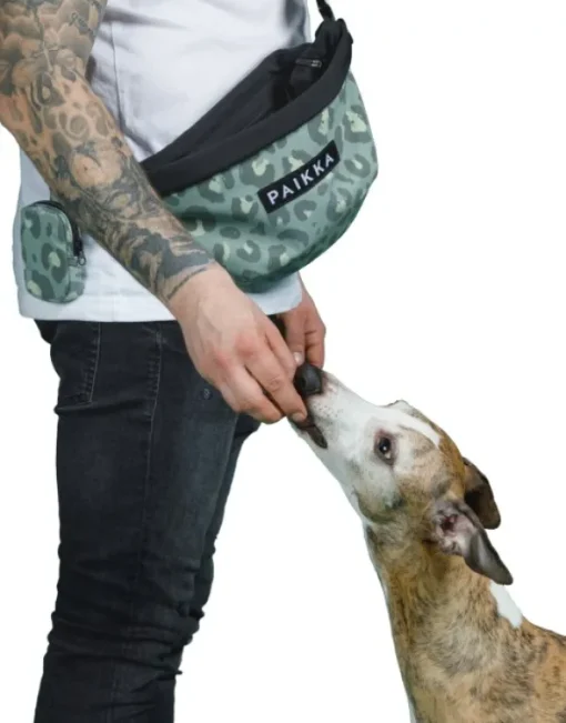 PAIKKA Visibility Treat Bag makupalapussi, Green Leo Clearance