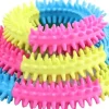 Koiranlelu Rainbow World Ring Ø15,5 cm-Pawise Online
