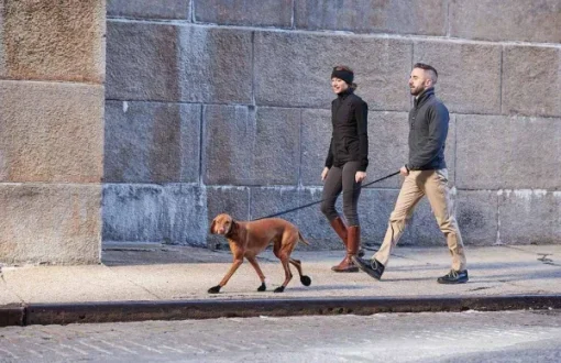 Dog Boots Black S-Pawz Discount