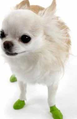 Pawz Dog Boots Color Apple Green Tiny Fashion