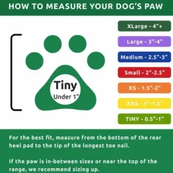 Pawz Dog Boots Color Apple Green Tiny Fashion