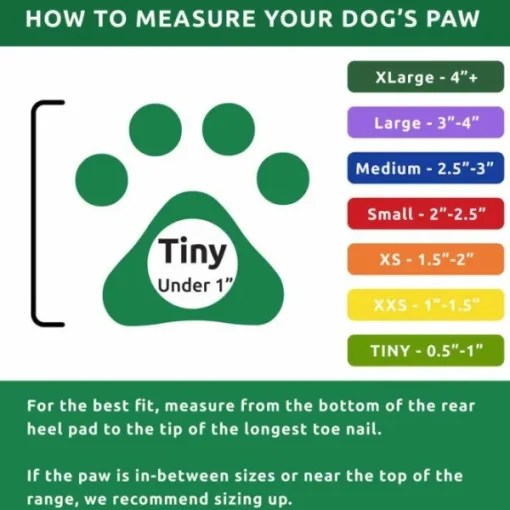 Pawz Dog Boots Color Apple Green Tiny Fashion