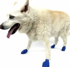 Dog Boots Color Blue M-Pawz Best