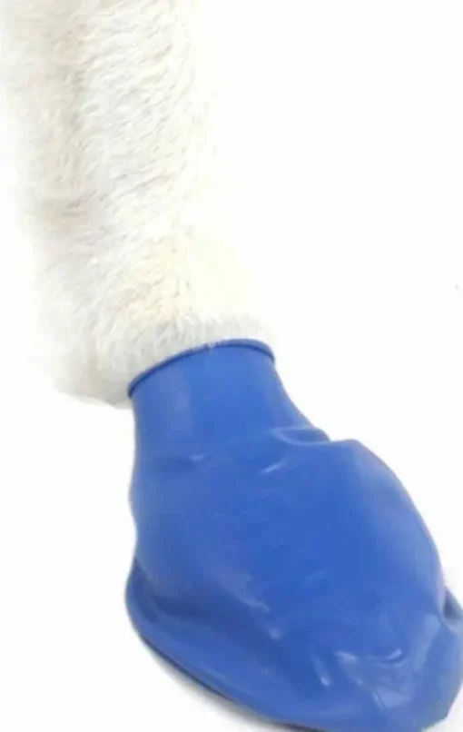 Dog Boots Color Blue M-Pawz Best