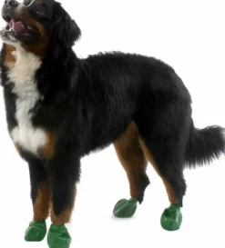 Pawz Dog Boots Color Green XL Online