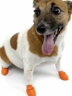Dog Boots Color Orange XS-Pawz Hot